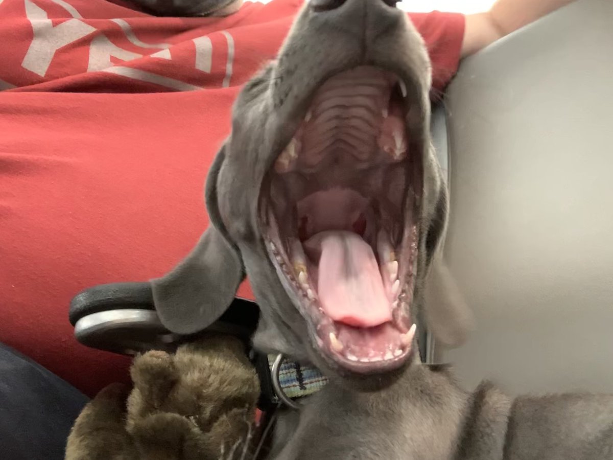 LD Eakman tweet media