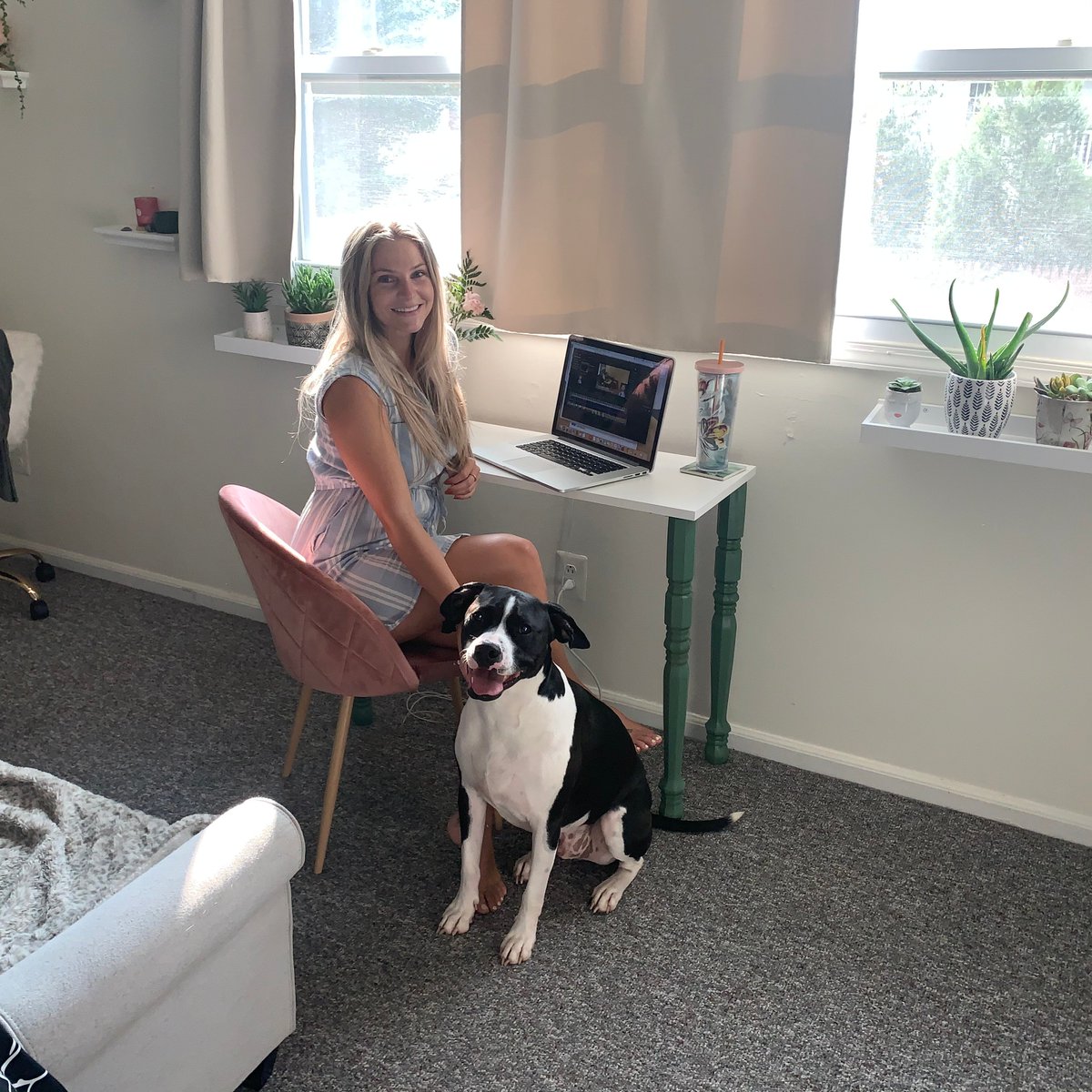PALCS's tweet image. Ms. Sarah Williamson joined PALCS in 2017, shortly after she adopted her dog - Mowgli. During her time at PALCS, Sarah has worked with the Marketing and Information team and the Video Production team. 
#HomeWorkSpace
