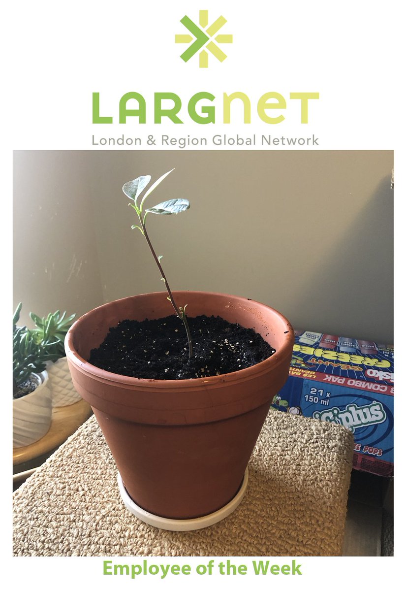 LARGnet's tweet photo. Congratulations to Reginald, our first plant-based employee of the week!! 
Let us know about your exceptional coworkers!
https://t.co/g69kqHJtoR
#employeeoftheweek #wearetheinternet #largnet #avocado https://t.co/YYEDBv4hyy