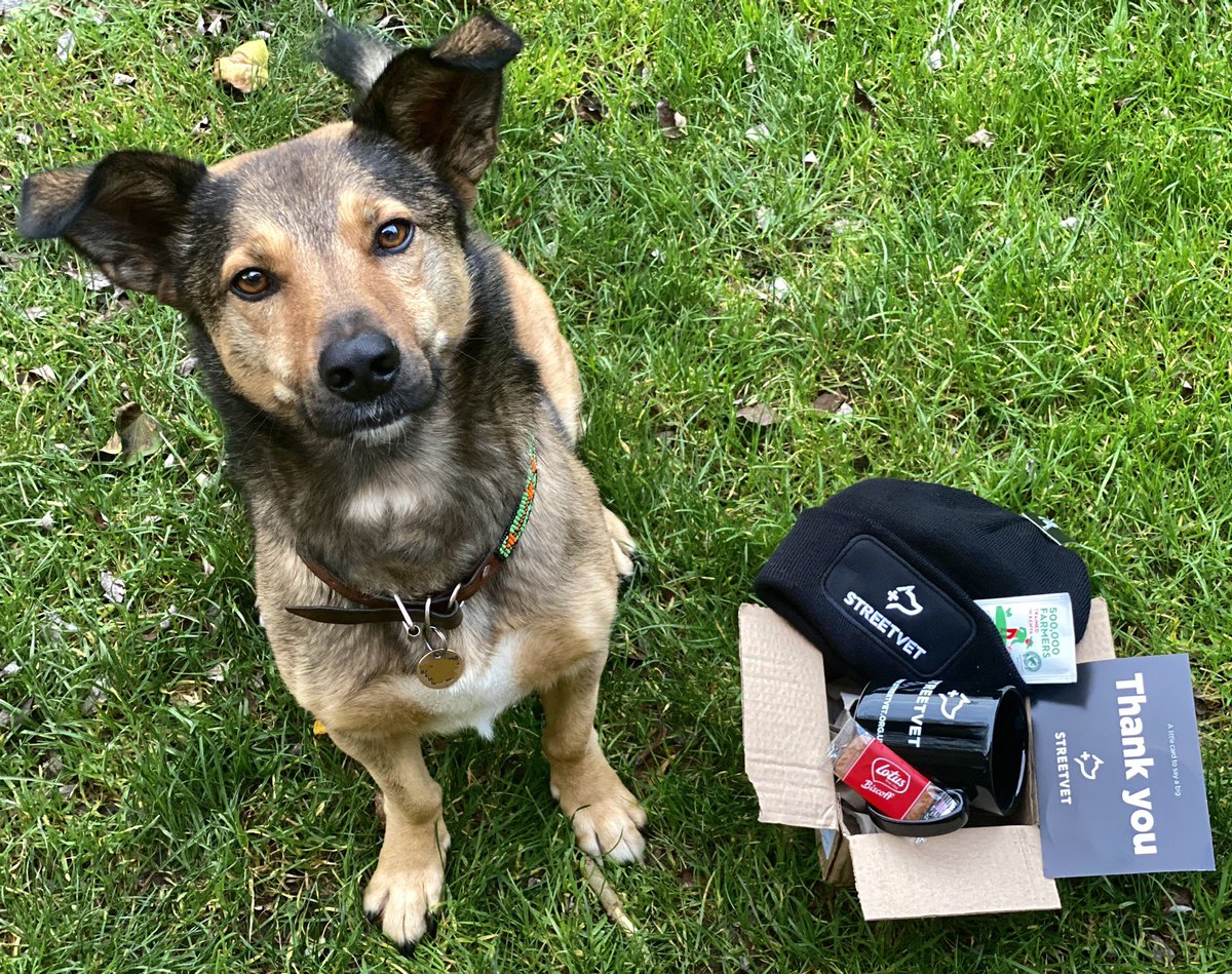 Thank you for our goodie box ahead of the virtual conference on Friday - tea, biccies and a warm hat, perfect! Looking forward to the great line up of speakers giving up their time to address the volunteers and passing on their expertise to us - thank you! #streetvet