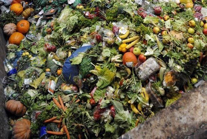 FAOenFrancais's tweet photo. Un tiers des aliments produits sur la planète sont perdus ou gaspillés. 🍎🍊🥦🍅

Nous avons tous un rôle à jouer pour réduire les pertes et le gaspillage alimentaires 👉 https://t.co/7JiYt140RS https://t.co/gDBUtTj8WN