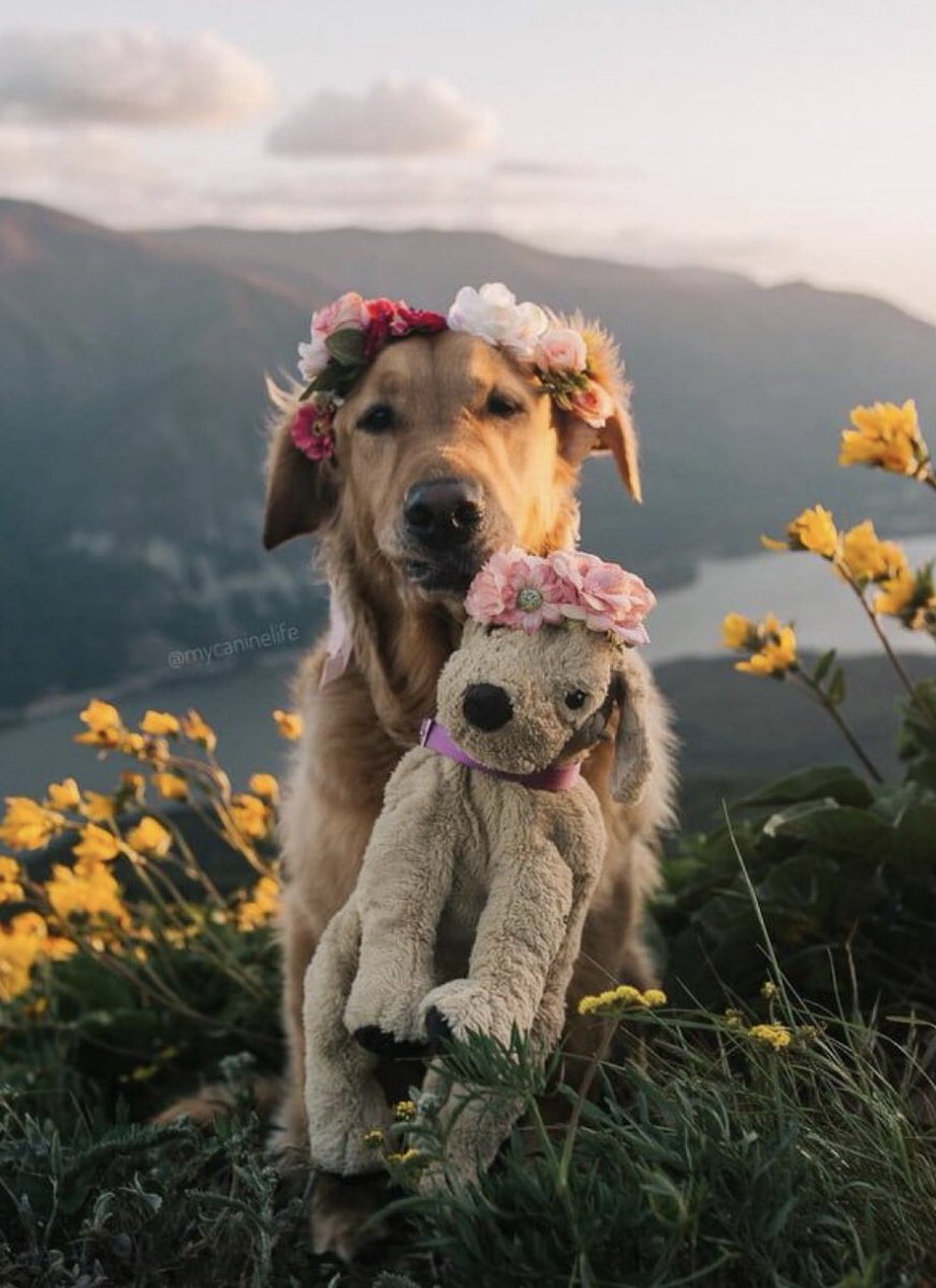 🌸