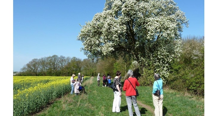 KangarooCaught's tweet photo. @WoodlandTrust @HS2ltd It's shocking this government would authorise deliberate destruction of England's unique, irreplaceable natural heritage, which does not belong to those who destroyed it, #BorisJohnson #BritainsBolsonaro #HS2Ltd #Tories, but to us all and to future generations.
#ControversialHS2 https://t.co/koFeBMFPfv