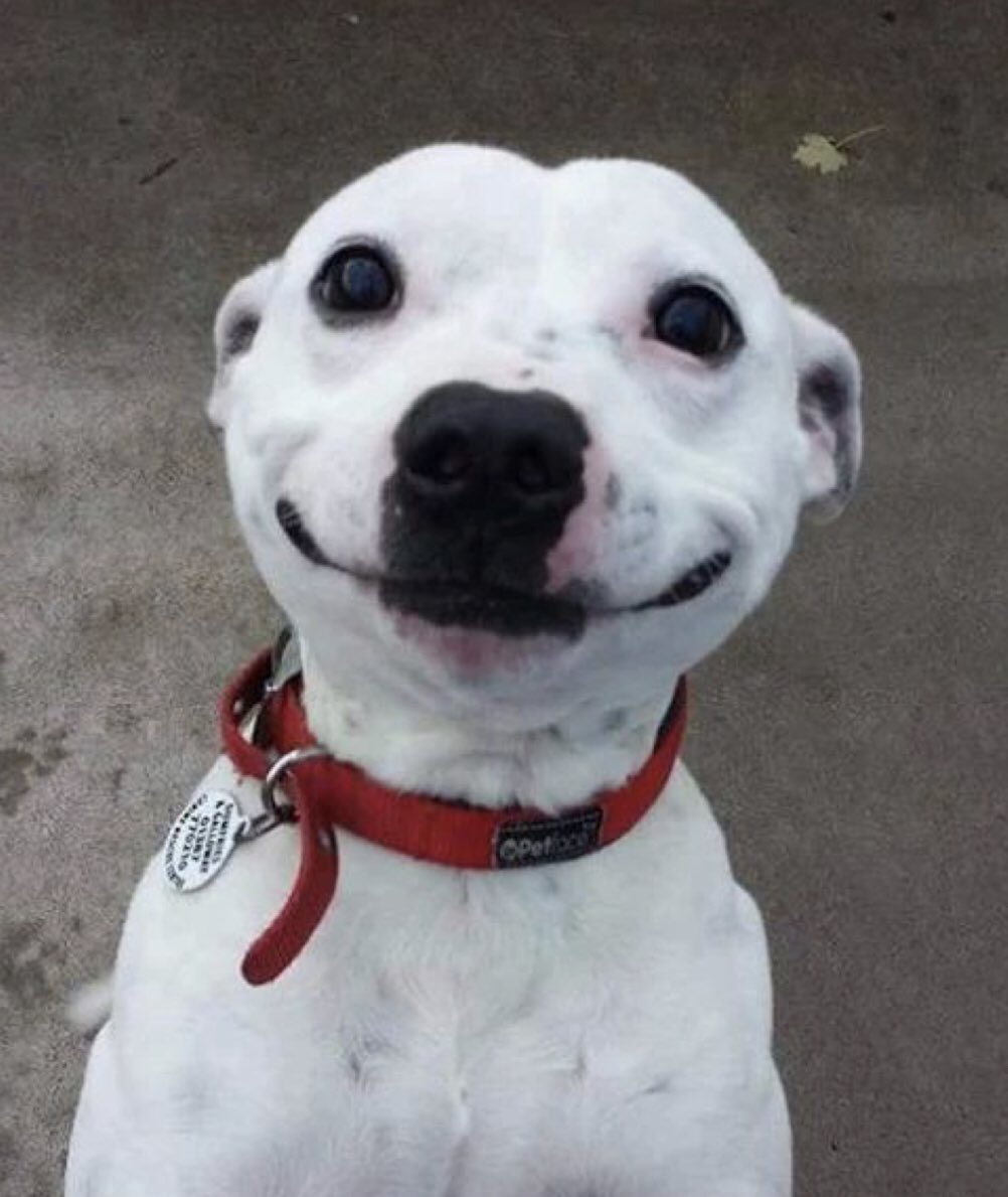 Hope you are smiling like this 