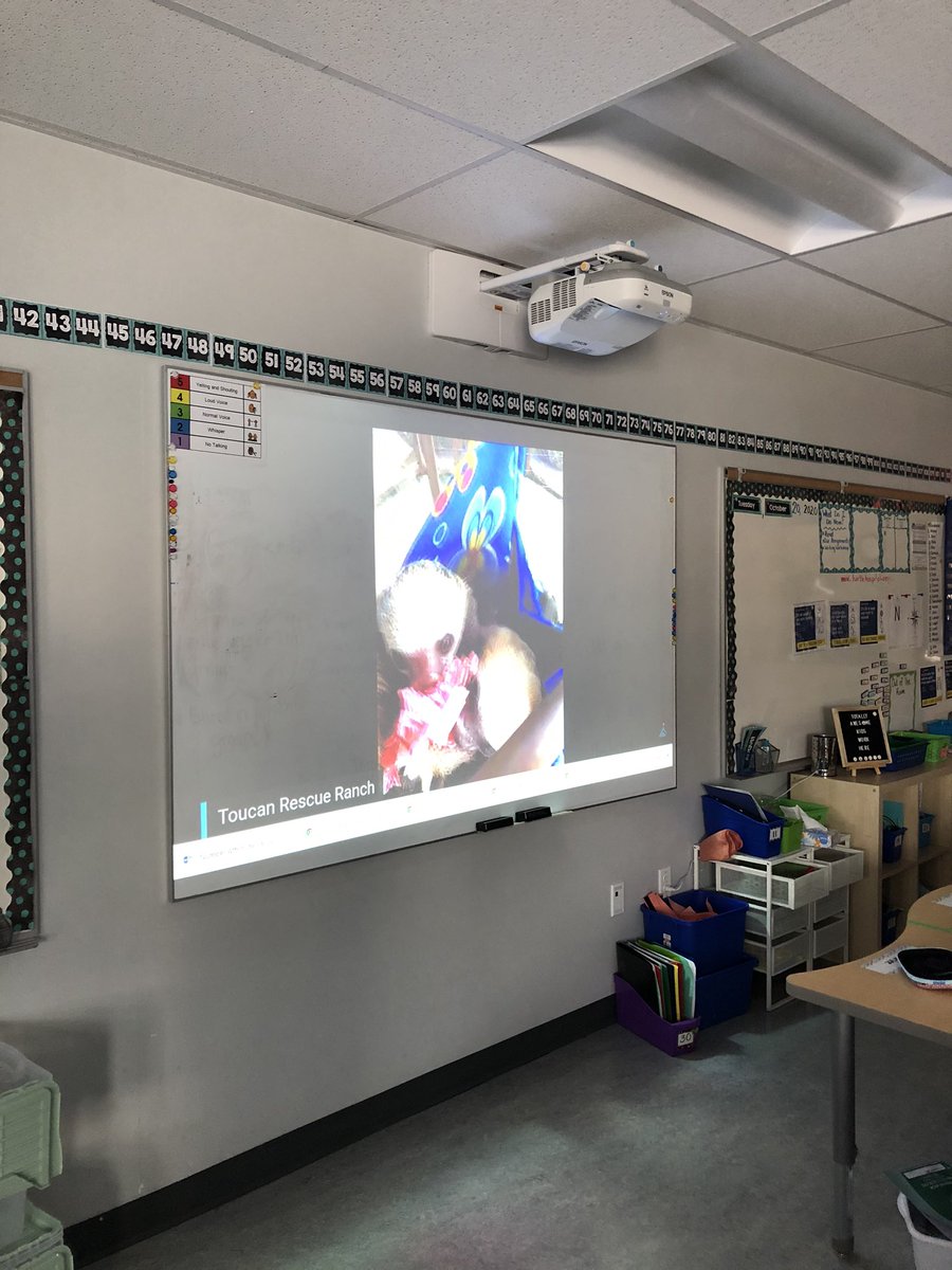 MatsubaClass's tweet photo. Loving International Sloth Day. Thanks to @EBTSOYP and @ToucanRescue in Costa Rica. #WorldSlothDay #Prescottpsd70 https://t.co/huVUYHiIqt