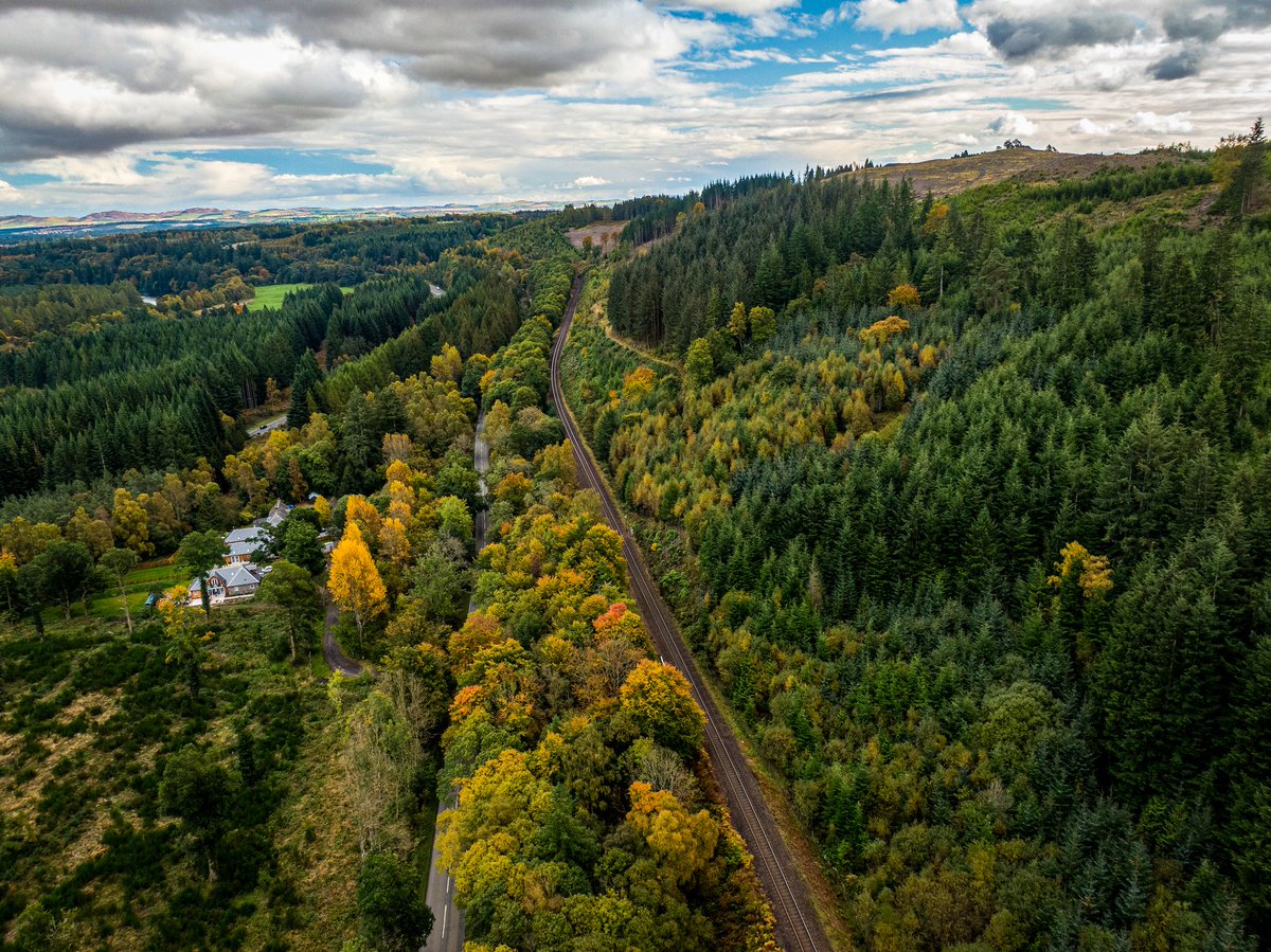 SilvaScienta tweet media