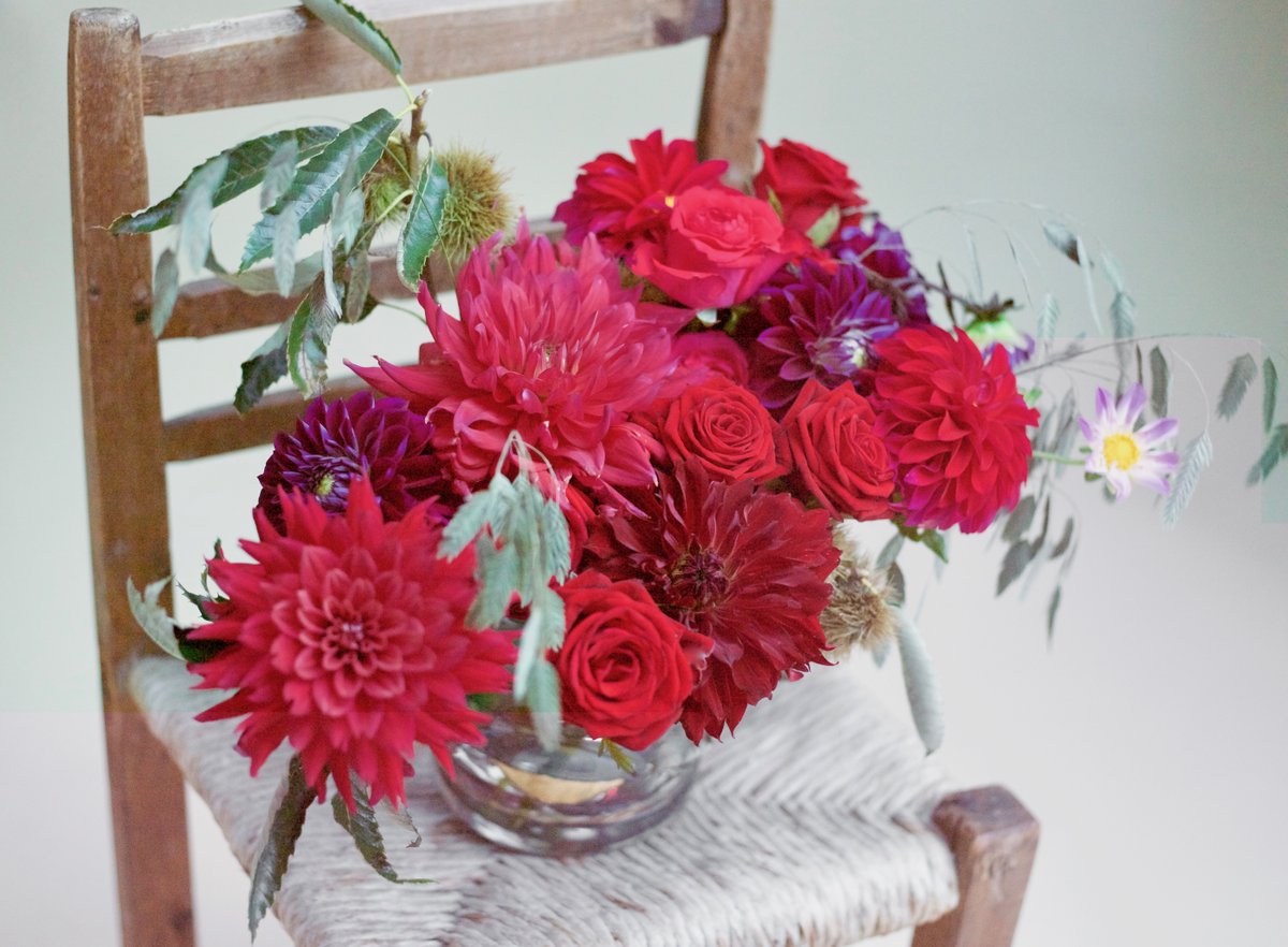 🌹In this newsletter we would like give a tribute to Con Amore, the newest red rose in our range! #roseConAmore
mailchi.mp/bd35e9f32f18/b…