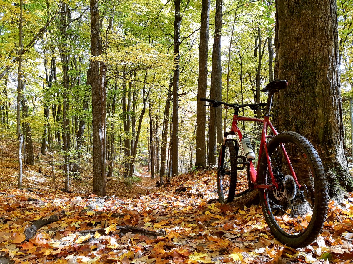 jeffgracedesign's tweet photo. Grateful to have these trails (basically) in my backyard. Best mountain bike season I've had in years!
#LdnOnt #LdnOntBike #LunchLaps
#WorkRemoteBikeAtLunch https://t.co/Tzjw0TdSNj