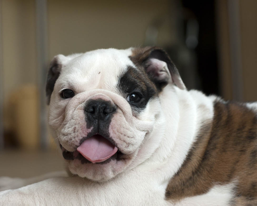 RT https://t.co/5u4vPEZj1Q If you have any questions about what we have to offer, please don't hesitate to stop by and visit us today at 12260 SW 8th St Suite 132, Miami, FL 33184! #PetSu⦠https://t.co/qGT0c3NK18
