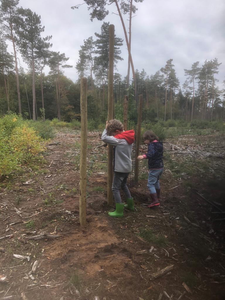 Deze twee toppers hebben vier bomen gedoneerd voor ons nieuwe bezit 35 ha bos bij Emst (voorheen Hooge Zand), twee haagbeuken en twee kastanjes. Samen hebben ze hun eigen bomen geplant. #TongerenseHeide
Helpen jullie ook mee glk.nl/doneren-helpen…