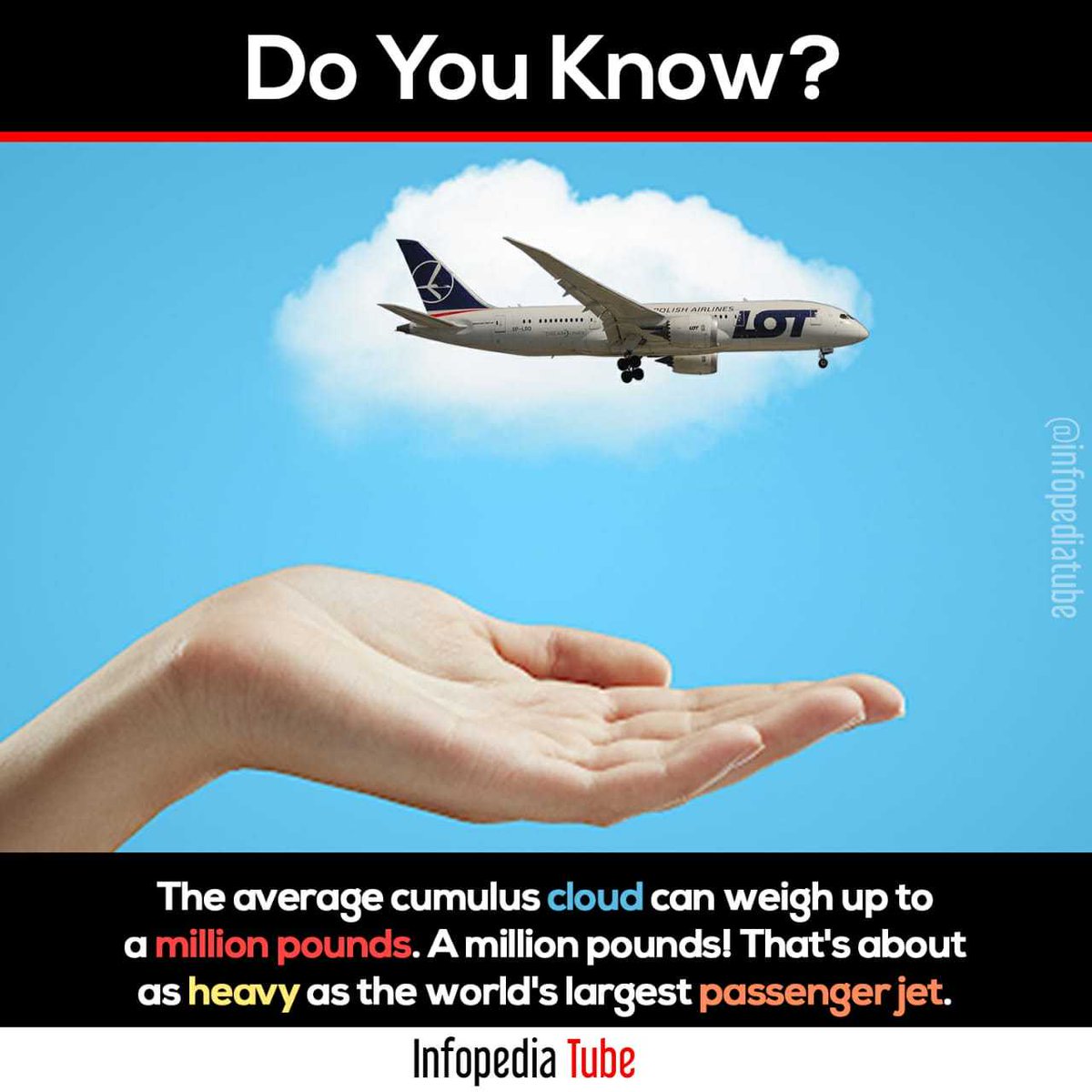 InfopediaTube's tweet photo. #DailyTrivia @InfopediaTube #FolllowInfopediaTube https://t.co/PE99kDWnMe