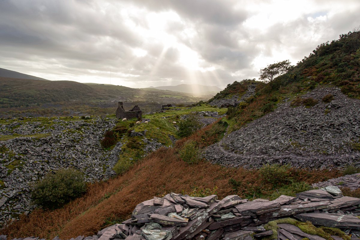 RhCadwaladr's tweet photo. Hydref yn #dyffrynNantlle #gwynedd #chwarel Penyrorsedd Nantlle #llwybrllechieryri @snowdoniaslate1 #llechi ar brynhawn gwyntog iawn
@S4Ctywydd https://t.co/V0z6E4t3Cj
