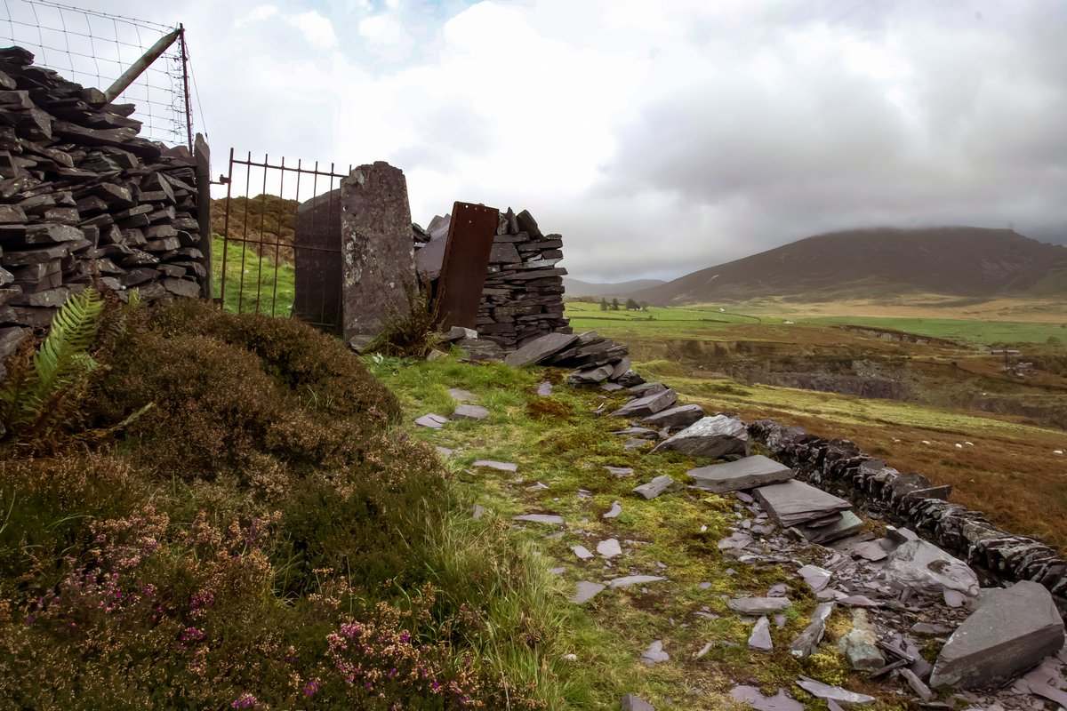 RhCadwaladr's tweet photo. Hydref yn #dyffrynNantlle #gwynedd #chwarel Penyrorsedd Nantlle #llwybrllechieryri @snowdoniaslate1 #llechi ar brynhawn gwyntog iawn
@S4Ctywydd https://t.co/V0z6E4t3Cj
