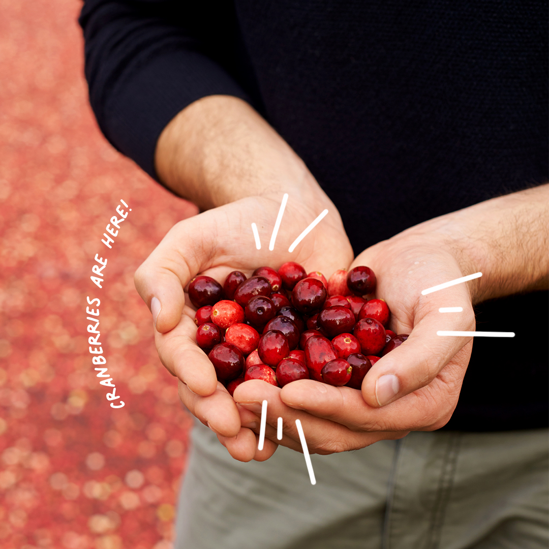 Naturipe's tweet photo. Today is the day 🎉 Naturipe Cranberries are on the shelves and waiting to make your meals a little more sensational. Stock up now! #Naturipe #Cranberries https://t.co/QLnLfjy7Zw