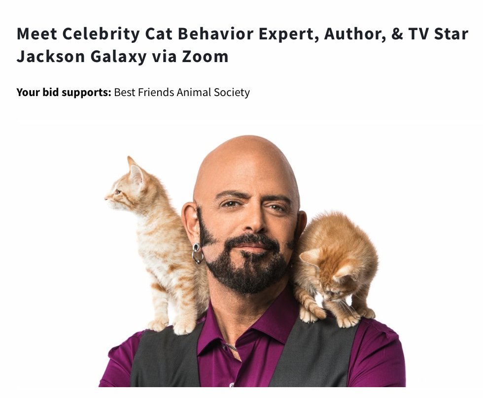 jackson galaxy new kitten