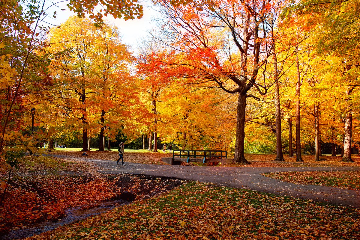 AB-SHOTZ Photography tweet media