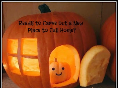 410RealEstate's tweet image. Renting? No problem we can help you locate and secure a lease--our hope is that when it is time to buy you will reach out to us again!
Ready to buy now? Let us give you the inside scope on the market today!

#410RealEstate #AZRealtor #BigJRealtor #Buyers #renters