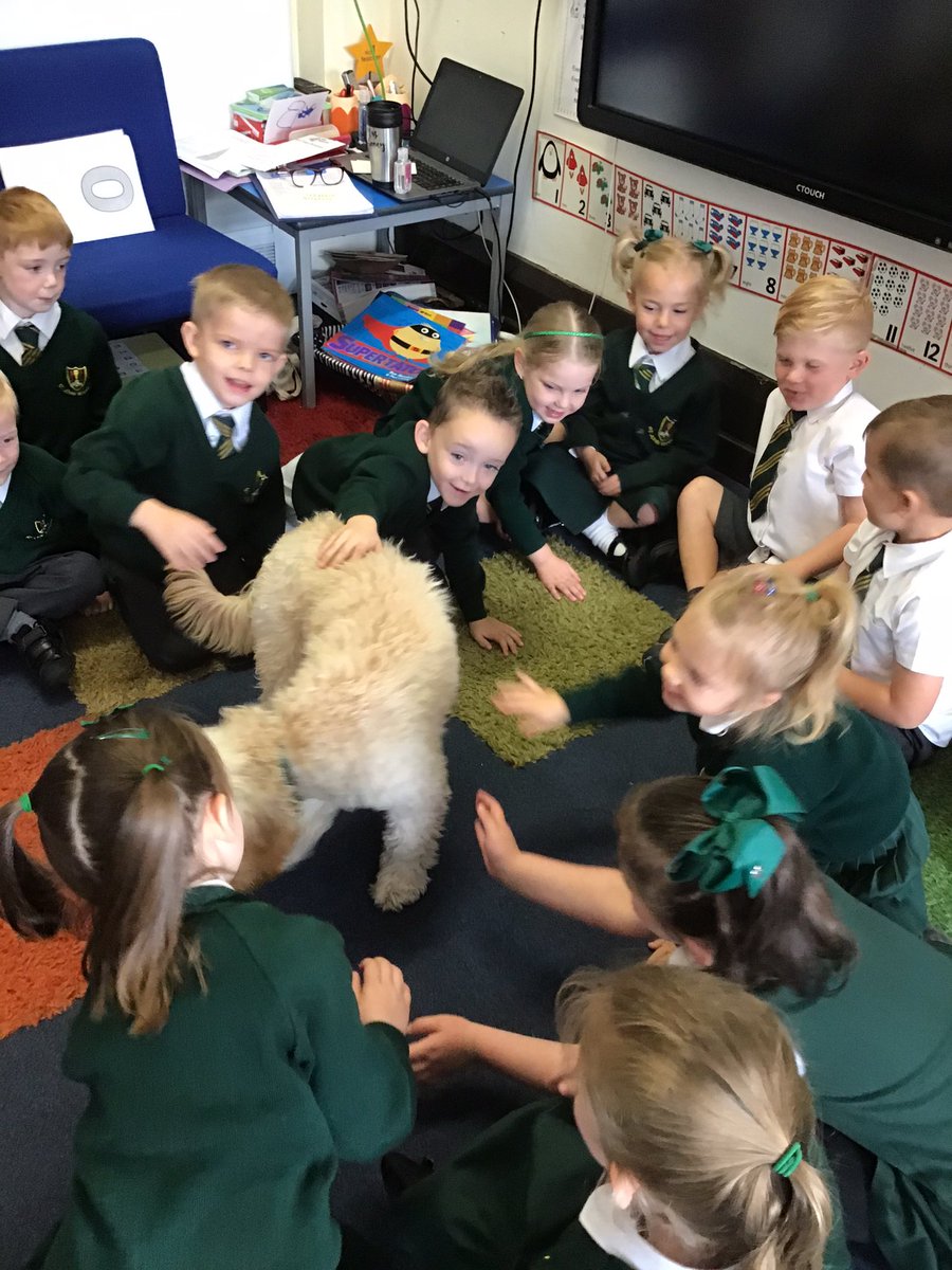 sjvblackpool's tweet photo. Betty our school dog came to visit. She showed us the tricks she can do! #SJVClassRM #Reception2020 https://t.co/UGPRtW7ZSE
