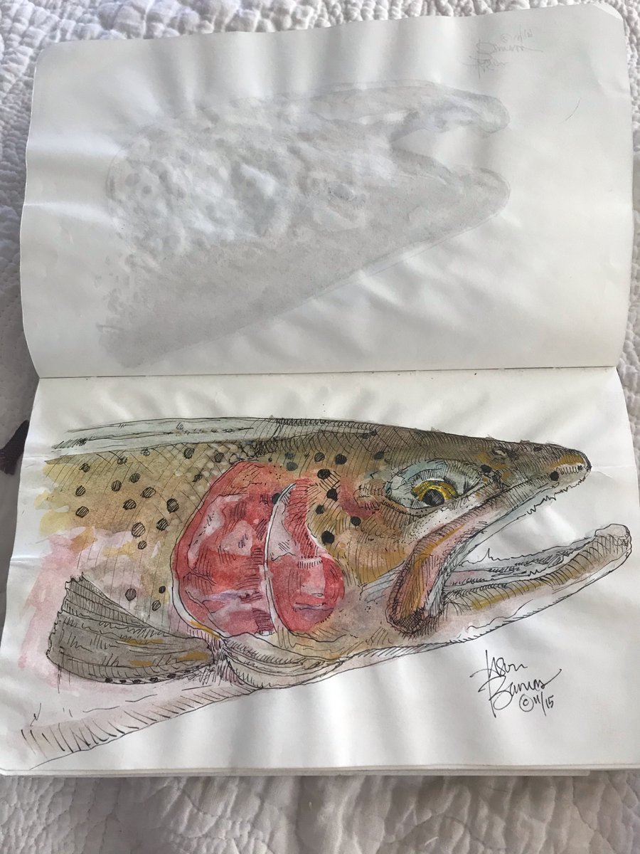 TroutUnlimited's tweet image. TU's Jason Barnes spends more time with #LahontanCutthroatTrout than he does with people. And here's how he's working to protect his unique #GreatBasin species. bit.ly/35fRMeX