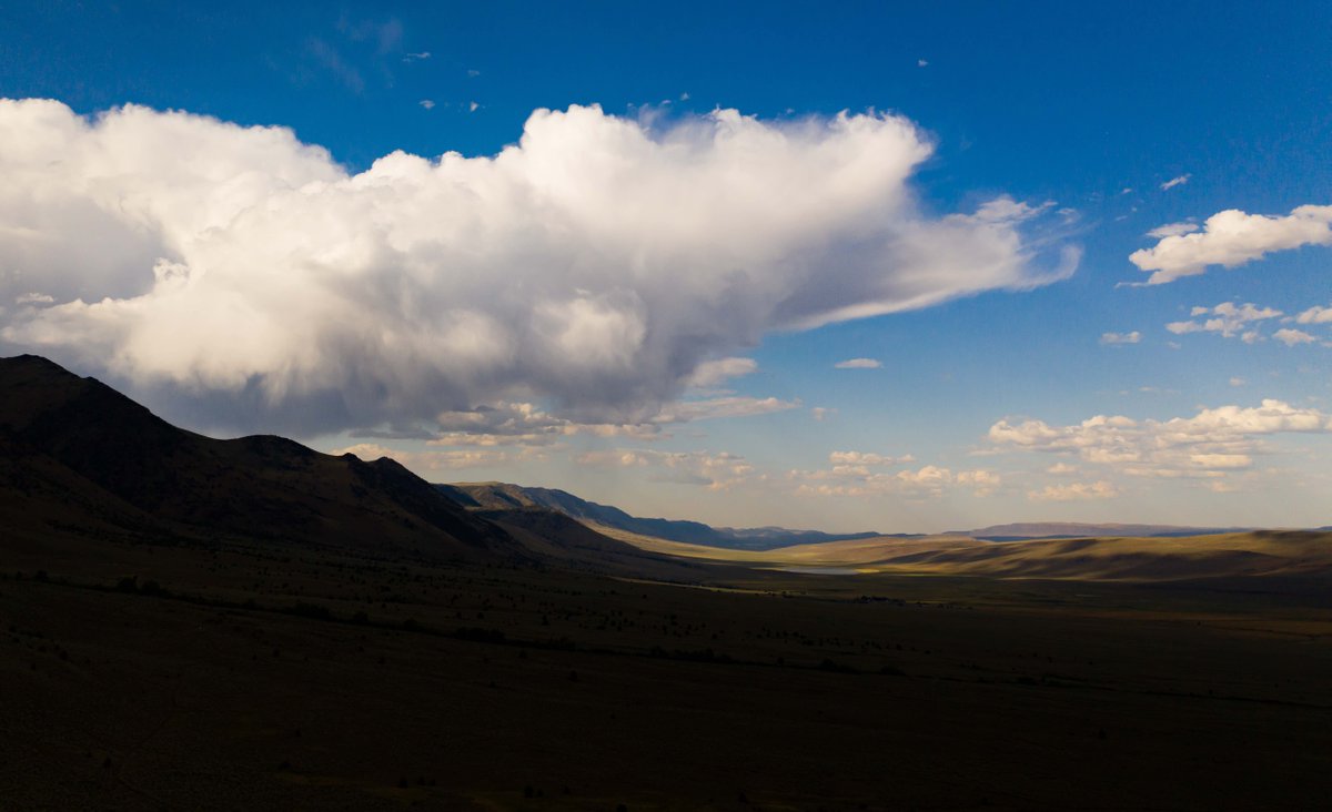 TroutUnlimited's tweet image. TU's Jason Barnes spends more time with #LahontanCutthroatTrout than he does with people. And here's how he's working to protect his unique #GreatBasin species. bit.ly/35fRMeX