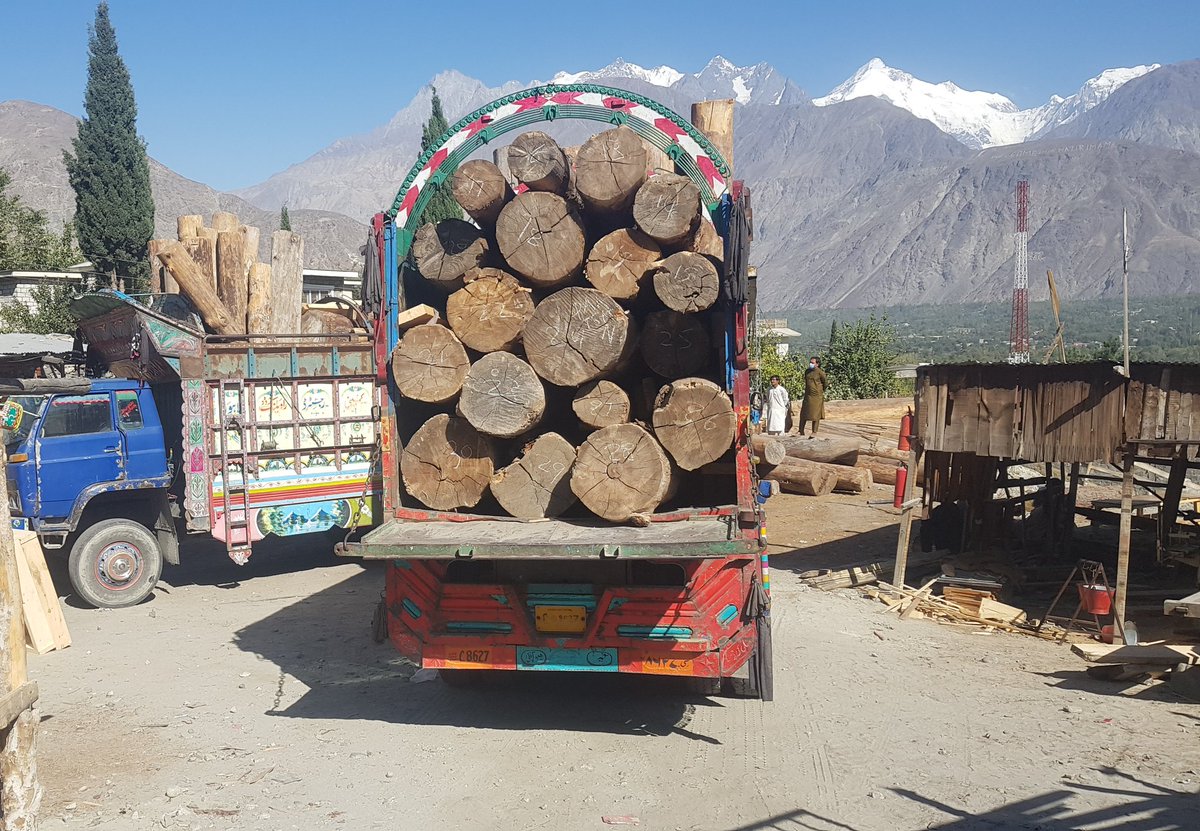 ShabbirMir's tweet photo. This i saw in past 10 hours in Gilgit. For sure something extraordinary is going on against #forests The #timber mafia is active with impunity and apparently #smuggling is legalised at least for now https://t.co/wrT8Wxsz8q