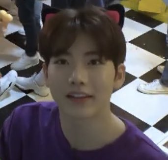 junkyu with cat ears pt 2