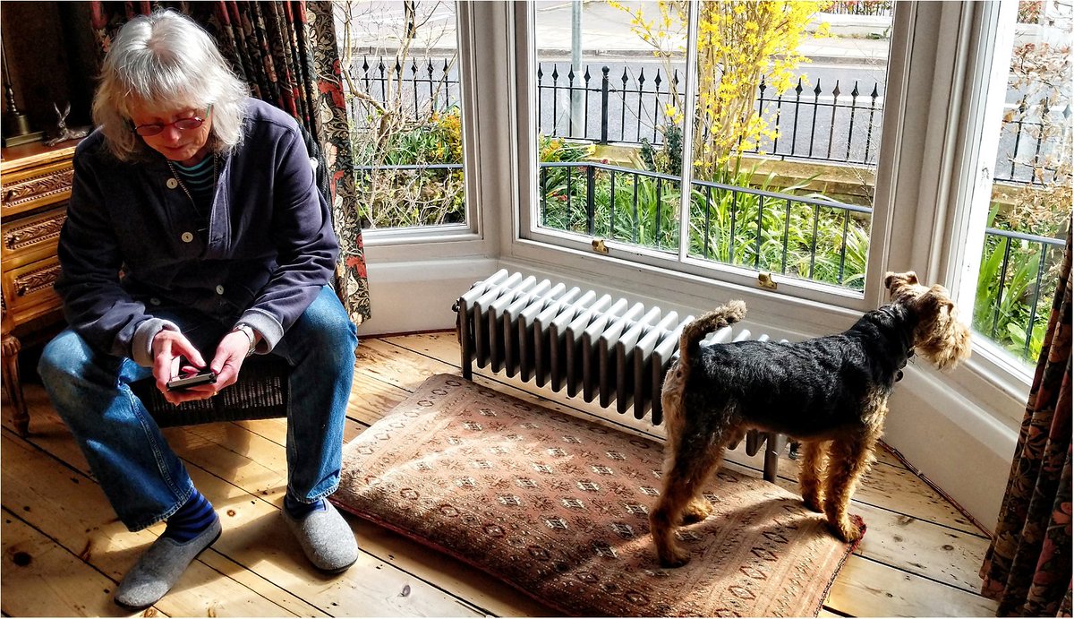 LewesCameraClub's tweet image. Chris Jones's image was the winner of last night's competition at Lewes Camera Club. A very evocative portrayal of "Lockdown boredom" - we all know what that feels like!
The award-winning images can be seen on our website at lewescameraclub.co.uk/202021-pdi-2-o…