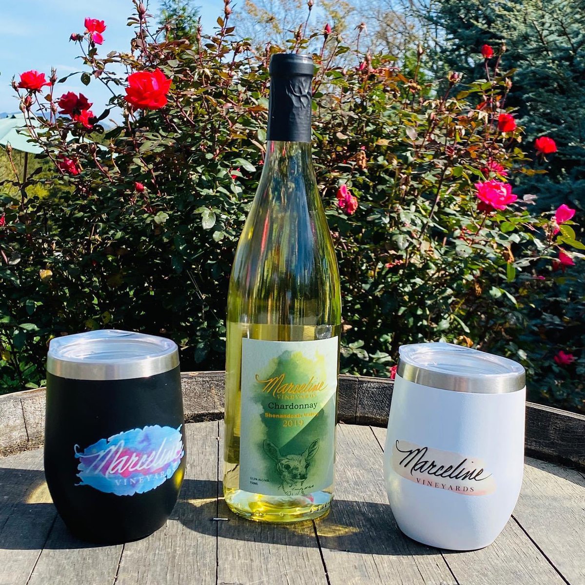 Is there a better way to enjoy a glass of our Chardonnay? Our new tumblers are available tomorrow! Keeps hot wine hot or cold wine cold #chardonnay #winetumblers #marcelinevineyards #vawinemonth