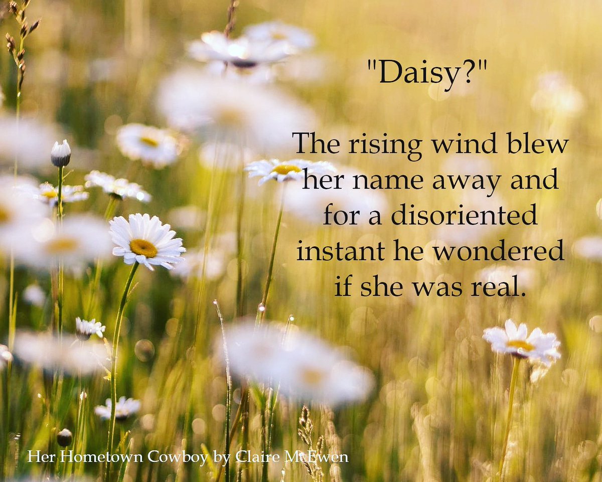 And... Last one! Had to add a Daisy pic because duh. 😉 And this one is hauntingly beautiful. Perfect for Halloween 😁. HER HOMETOWN COWBOY by <a href="/ClaireMcEwen1/">Claire McEwen</a> #romance #cowboyromance #books photo by Aaron Burden from Pexels