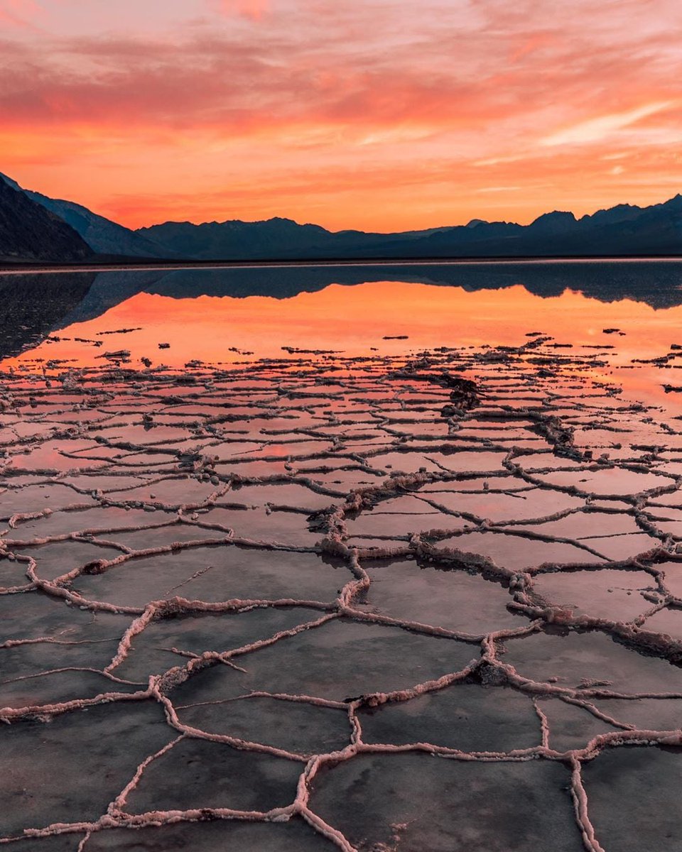 visitpahrump's tweet photo. Death Valley National Park was made for explorers. Start planning now: https://t.co/q5zvXylG01

📸: Ty Sheers Photography

#adventureoutthere #desert #explorepage #Pahrump #Nevada #VisitPahrump https://t.co/GaPkI5qL0Z