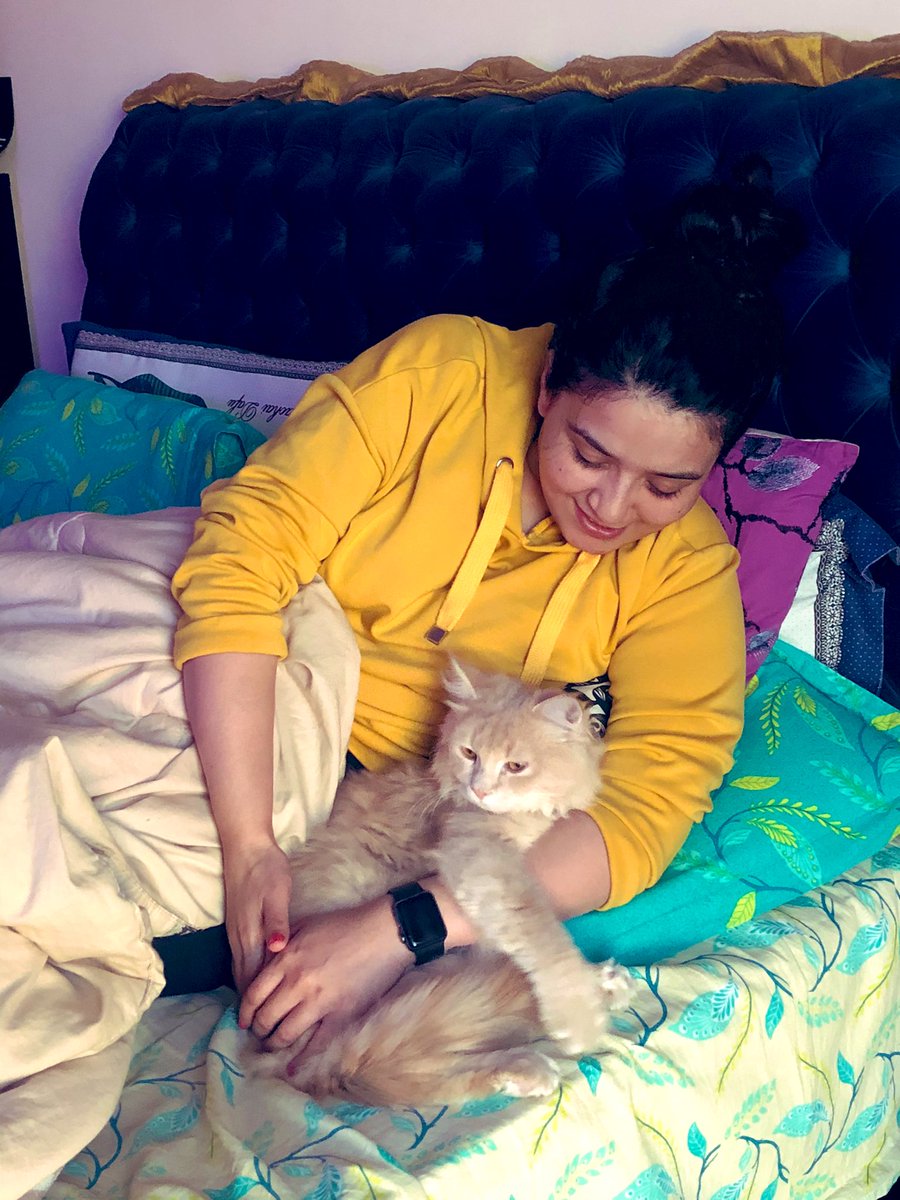 dumplinglady1's tweet photo. Baby Ze 🐱 
#adoptdontshop #turkishangora https://t.co/rTCokKi3W4