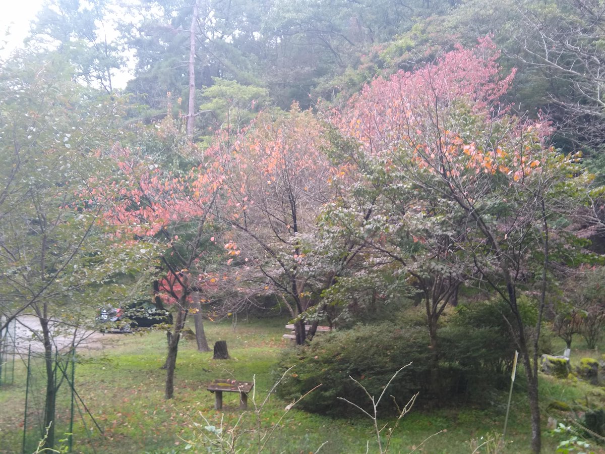 solidblue1126 photo