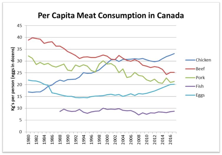 Why is this a problem? Because by and large our idiotic media has told people to stop eating red meat, and they listened. Consumption of chicken has skyrocketed. Therefore, the consumption of PUFA has also skyrocketed. (img cred: The Conversation)