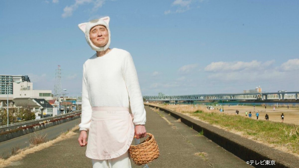 の 猫 さん 今日 村