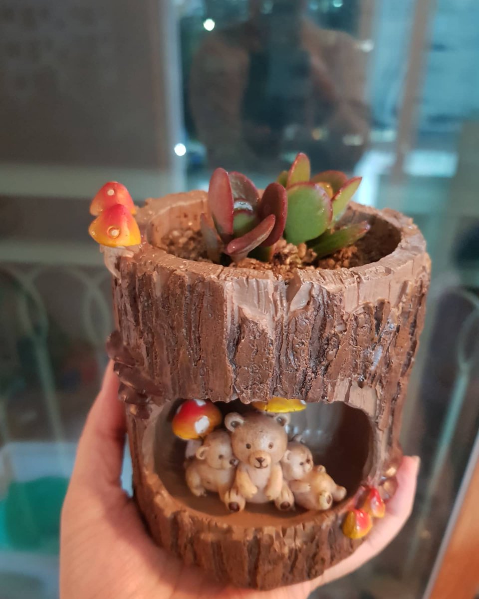 jm10141's tweet image. #다육이 #다육이키우기 #다육이화분 #취미 #취미스타그램