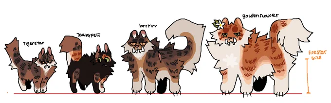 just wanted to show all of you my goldentiger family size headcanon blahblah blah look at golden, she is precious #warriorcats 