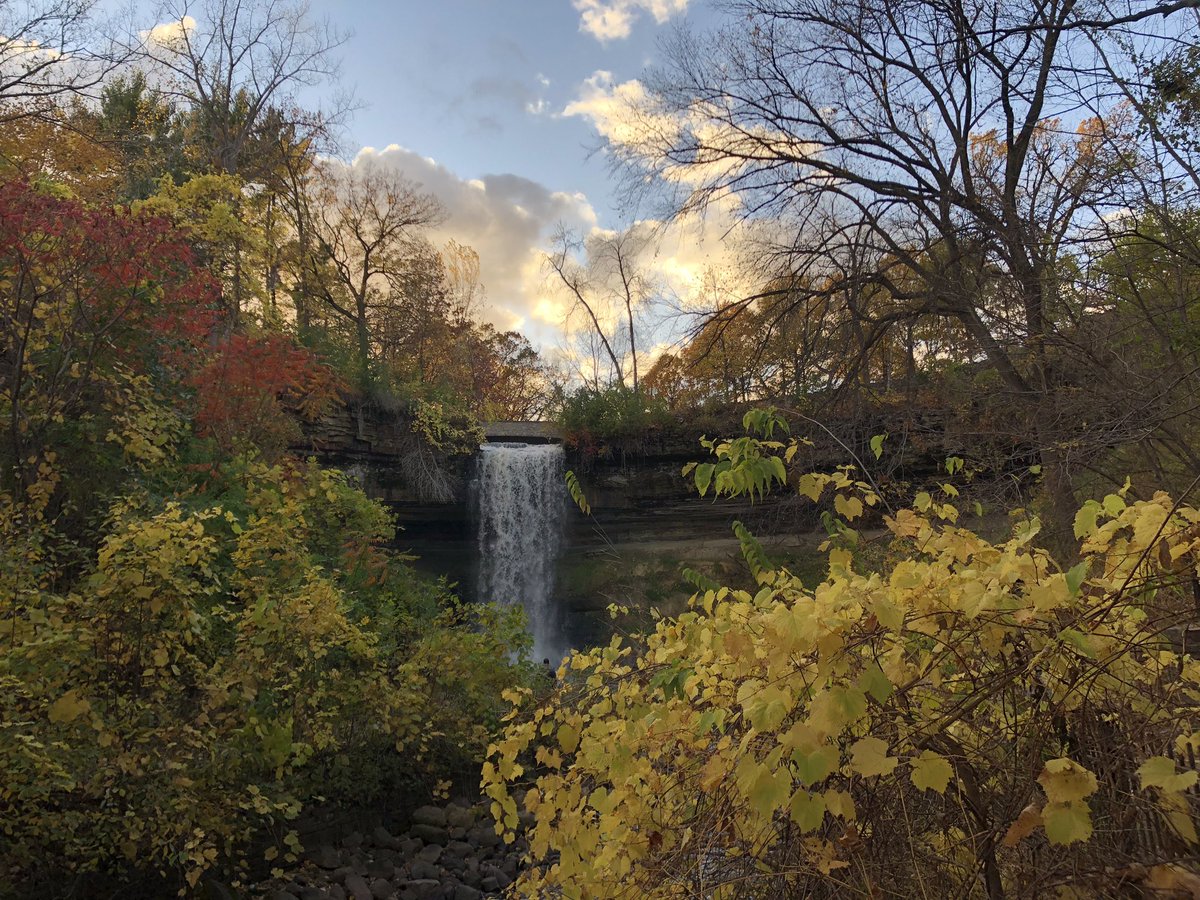 pbasuthakur's tweet photo. A little solo walk through the woods is all you need sometimes to find some clarity amidst chaos. #fallvibes #fall #mentalhealth https://t.co/UtUMeuUmEV