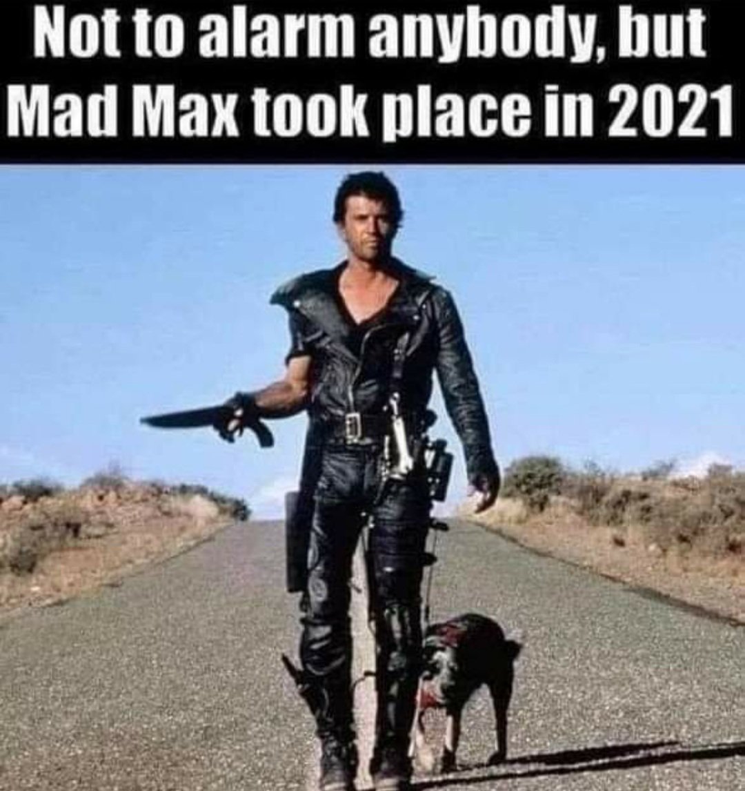 Stacey (@rhinotrinadad1) on Twitter photo 