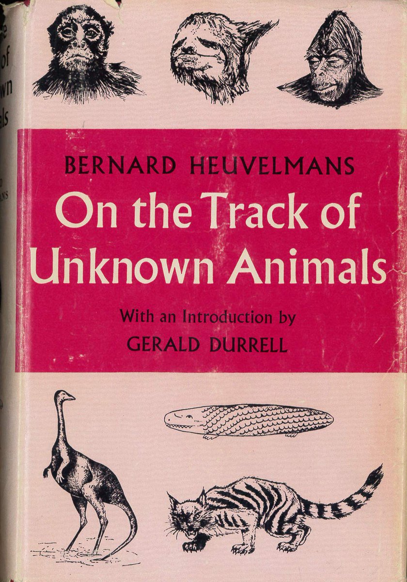 And Sanderson was very interested. Furthermore, he just happened to have visiting with him at the time Dr Bernard Heuvelmans, an acknowledged expert on mystery animals (he very literally wrote the book on the subject, this being 1958’s On the Track of Unknown Animals)….