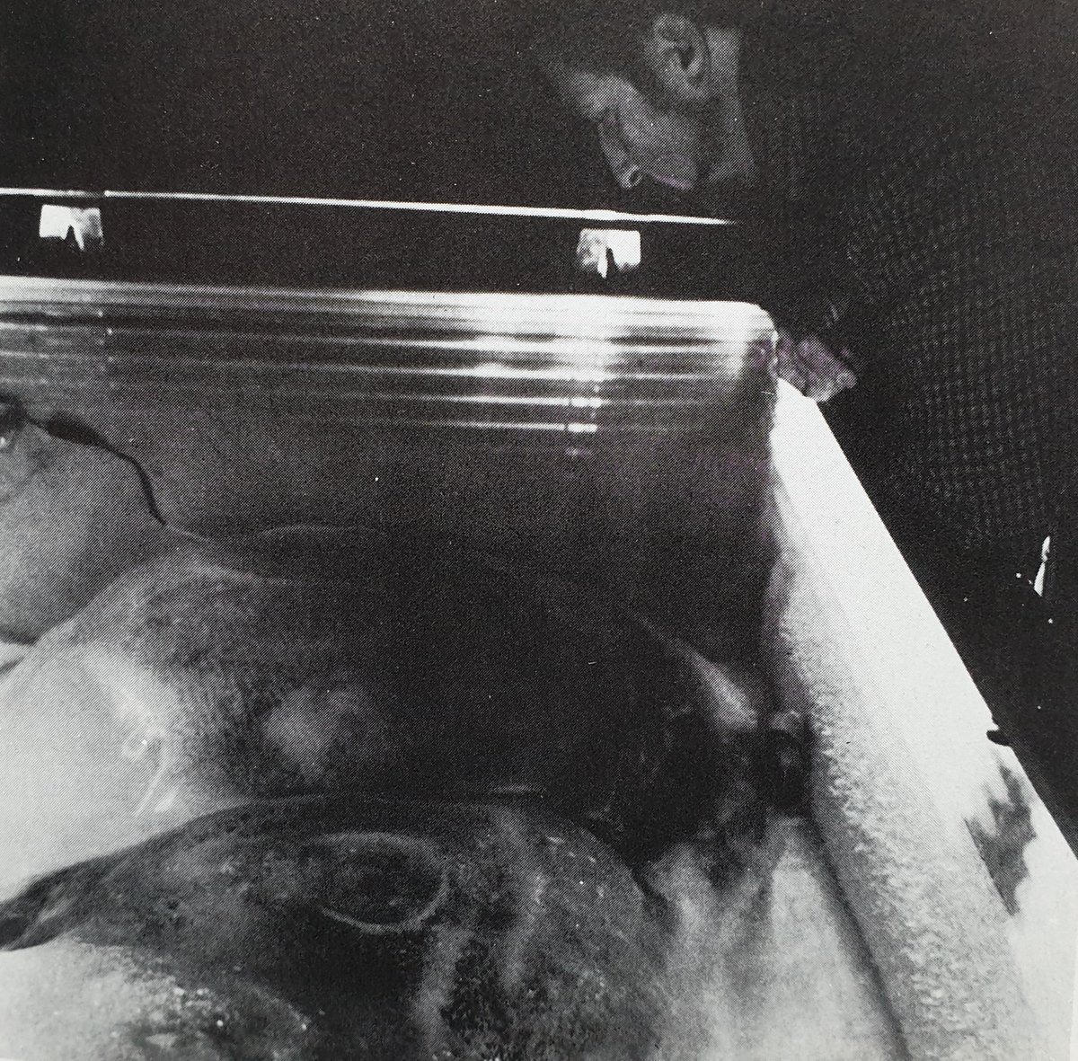 Heuvelmans and Sanderson examined the iceman while it was off-show during December 1968, at Hansen’s property. It was kept in a refrigerated truck (shown here). Over the course of three days (16-18th December), Hansen let them take photos, measurements, illustrations and notes…