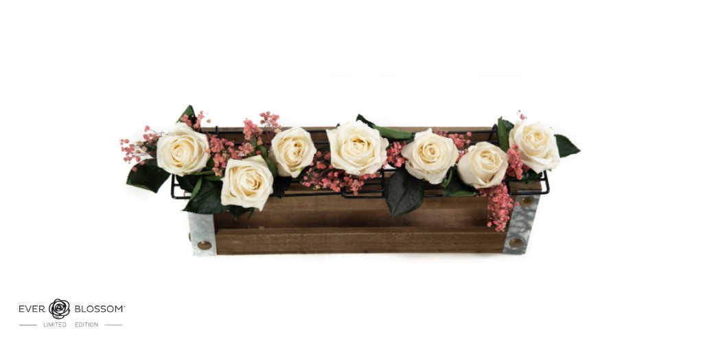All the flowers of the tomorrows are in the seeds of today- Indian Proverb
Visit us https://t.co/rrnT7ZOXYo #beautiful #flower #love #art #naturelovers #sunset #plants #sun #happy #fashion #wedding #floral #losangeles #beauty #california #lasvegas https://t.co/8g1E6hyg2I