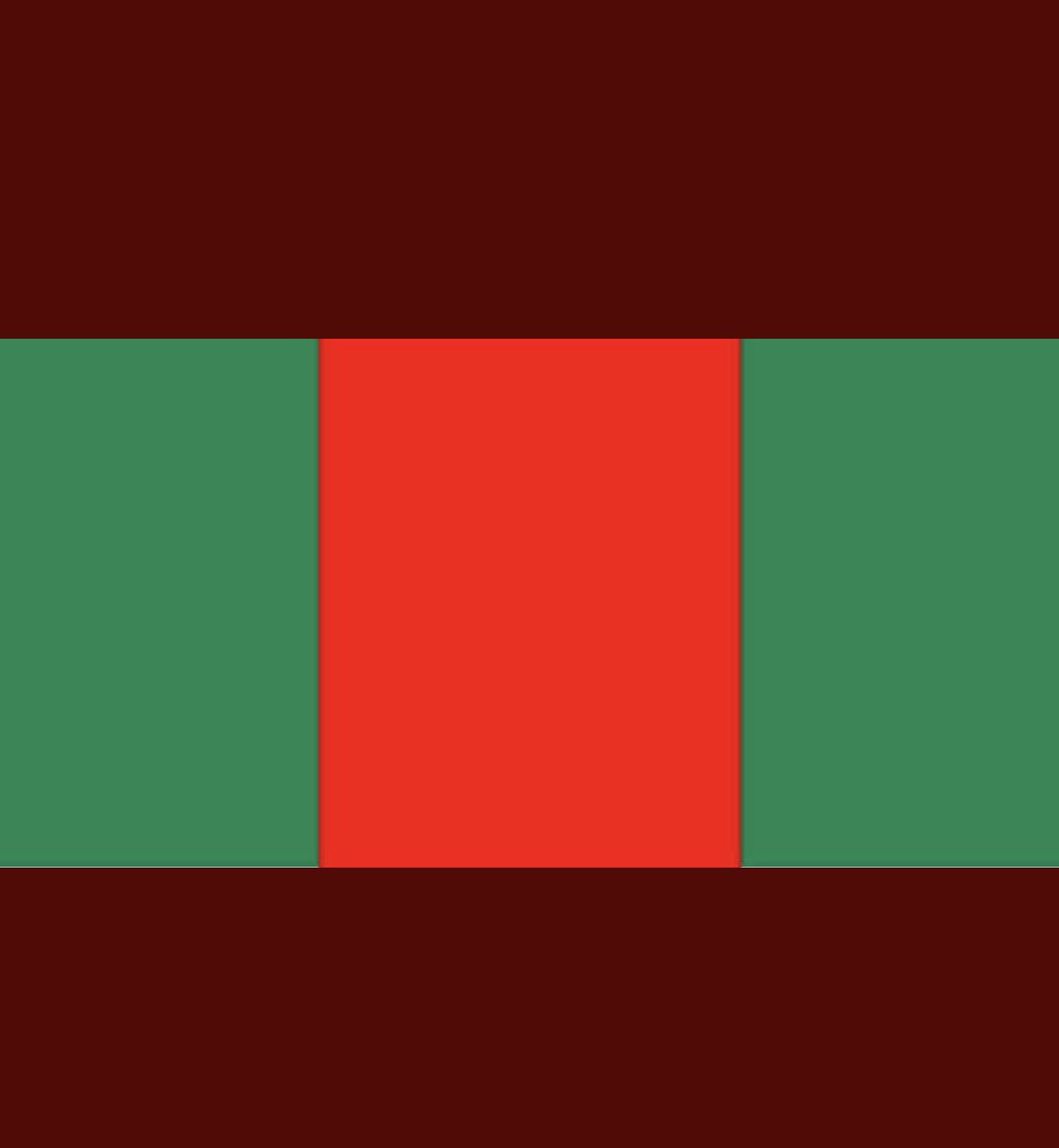 Laurashore5's tweet photo. Genocide!!! The Nigerian Government Has Commited Genocide On Us. 💔💔💔 This is what the Nigerian Flag Looks like Now.😭😭💔  #EndPoliceBrutalityinNigera  #EndBadGoveranceInNigeria #EndSARS https://t.co/L7SApUoEdQ