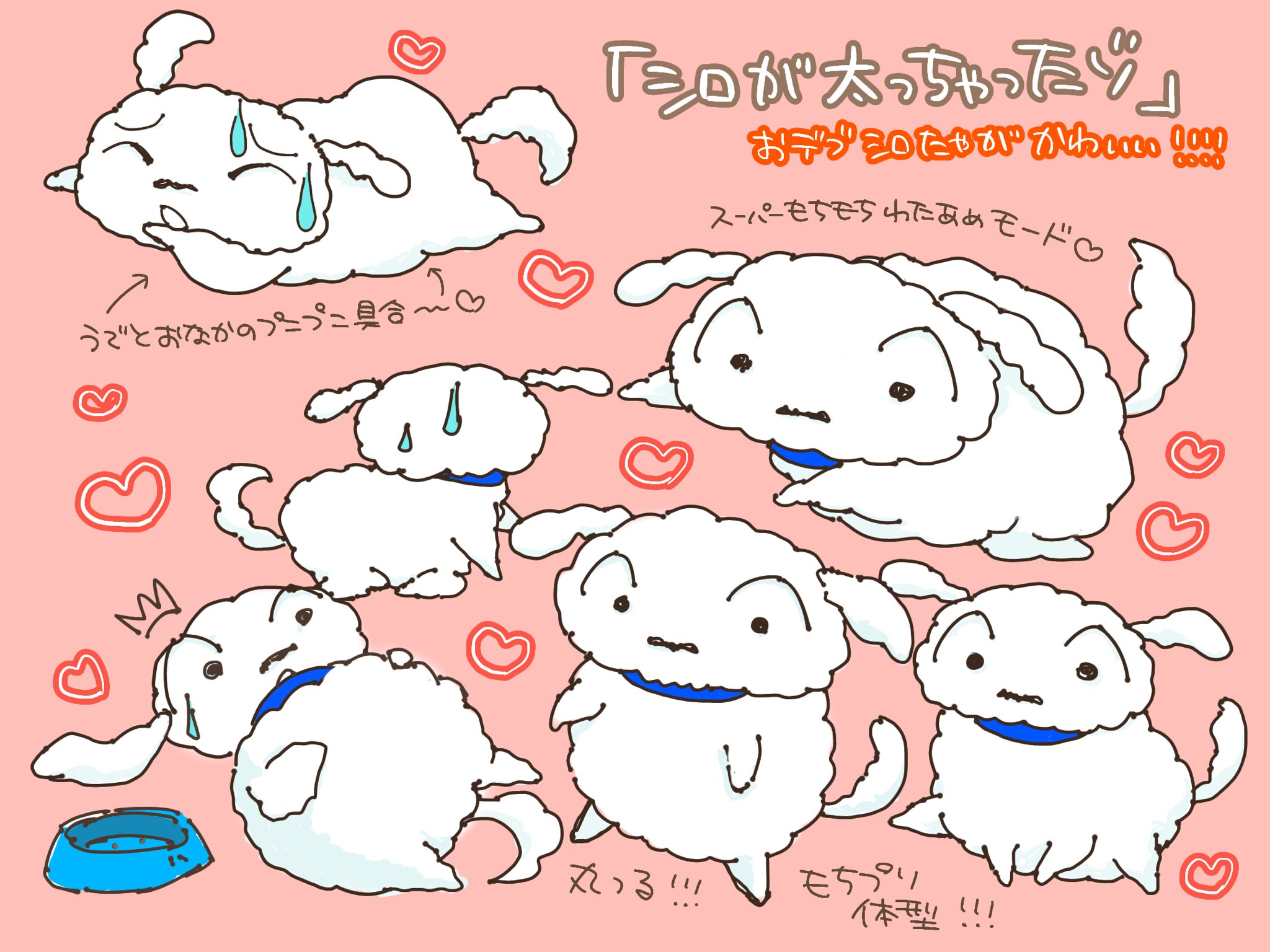 鳴瀬 クレしん本通販中 在 Twitter 上 シロが太っちゃったゾ クレしん研究部 T Co Voakyusvqs Twitter