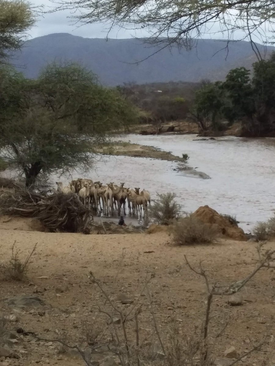 Dawa River Somali, Ethopia.