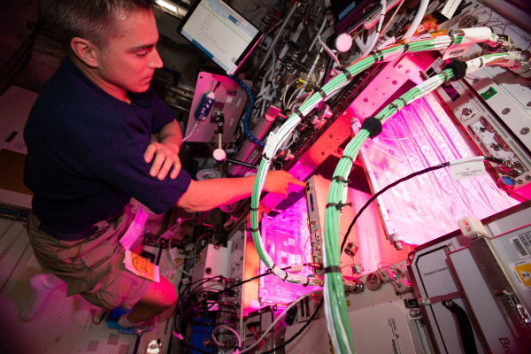 NASA Science tweet media