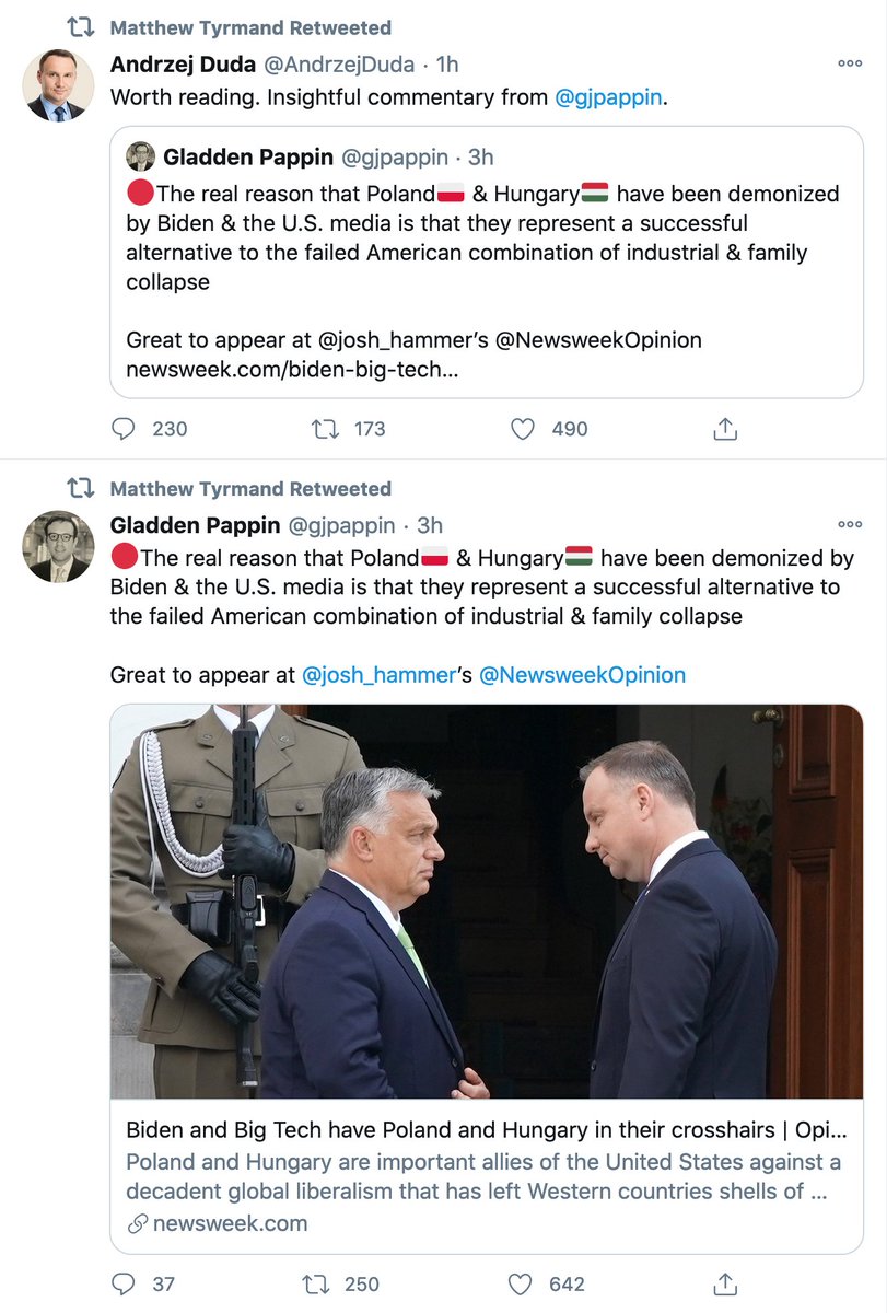 EreaAndrzej's tweet image. Łącznik #MatthewTyrmand. #MEGAgate.