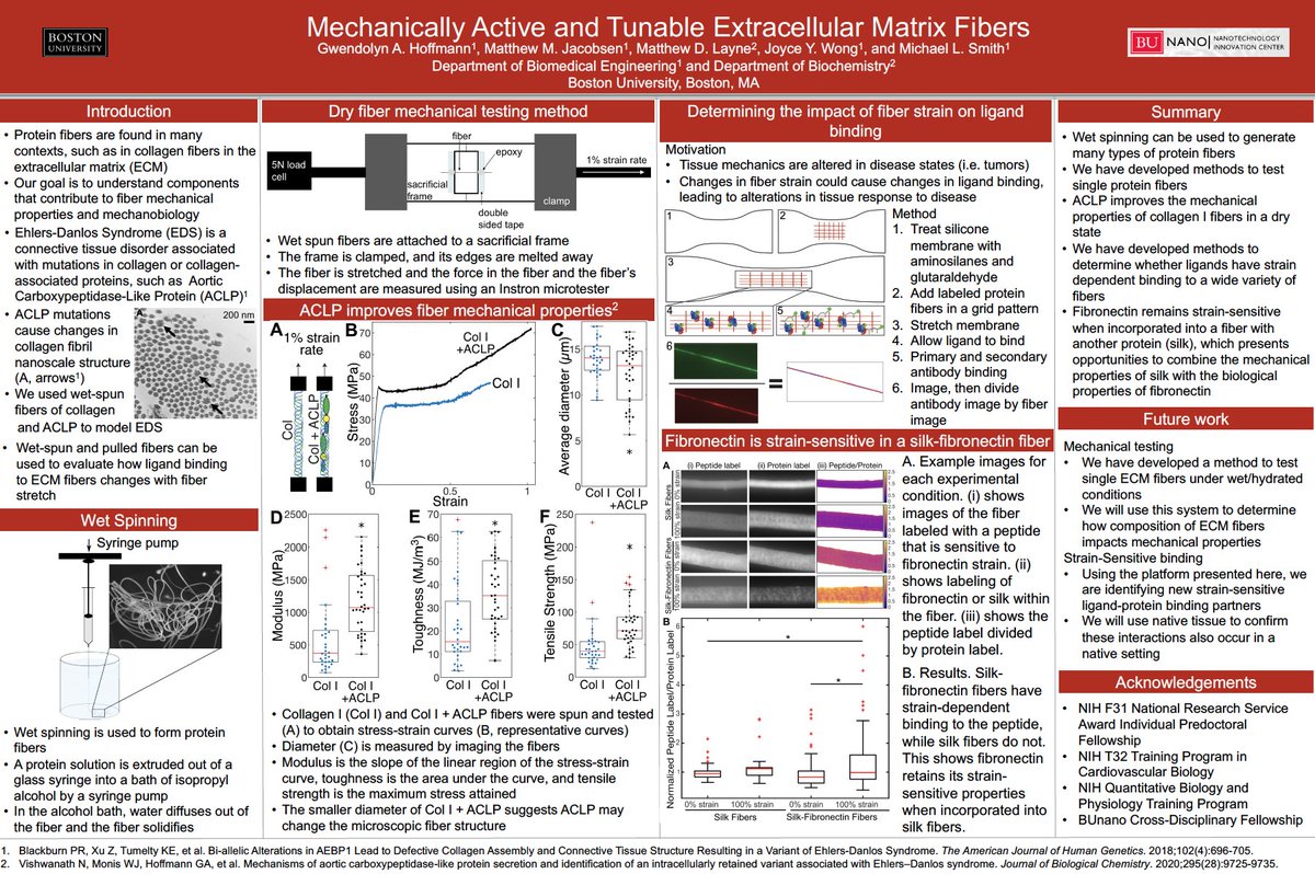 CMTM, Boston University (@bumechanobio) on Twitter photo There's still time to check out our virtual poster session, and to submit questions to presenters! Learn more about the amazing #mechanobiology #research our <a href="/BU_Tweets/">Boston University</a> CMTM members are conducting: bu.edu/mechanobiology… There's still time to check out our virtual poster session, and to submit questions to presenters! Learn more about the amazing #mechanobiology #research our <a href="/BU_Tweets/">Boston University</a> CMTM members are conducting: bu.edu/mechanobiology…