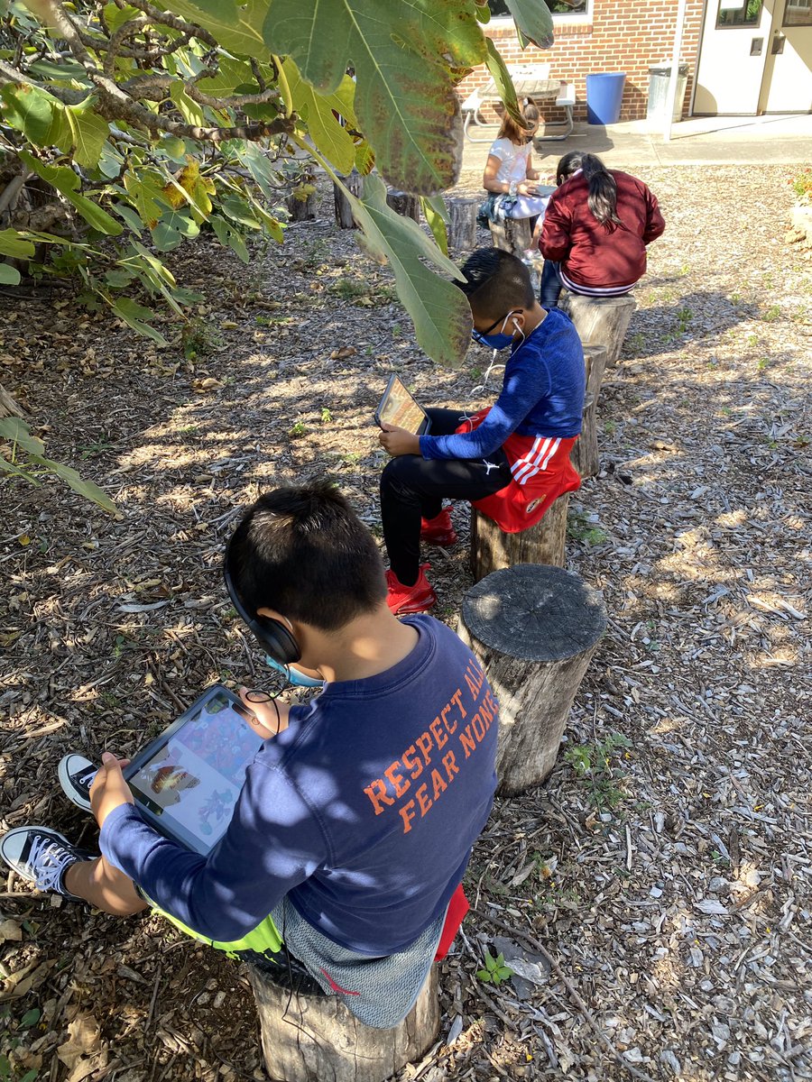 Stephanienowack's tweet photo. Reading outside and socially distancing.  @RHeightsElem We’ve Got This !@ @HeightsTX #RISDreads #LibrariesinRISD #risdgreatness https://t.co/tryHSM5Uu2