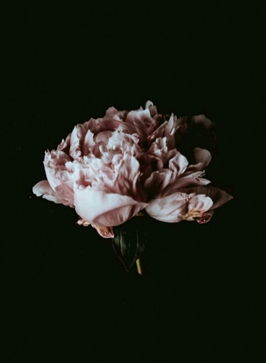 açma boşuna çiçeğim 
vakit henüz güz.