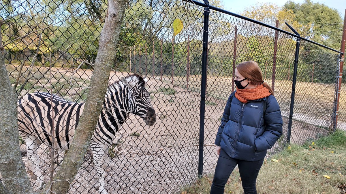 2oddballs tweet media